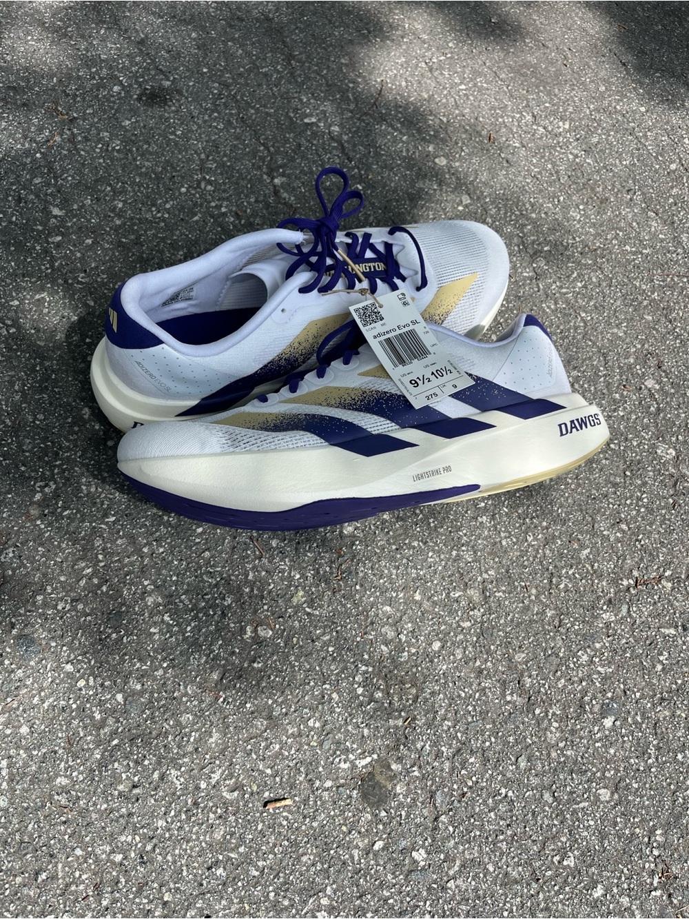 Adidas Evo SL University of Washington Men’s Size 9.5